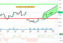 WTI / USD