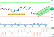 WTI / USD