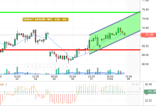 WTI / USD