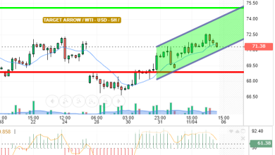 WTI / USD