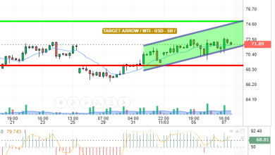 WTI / USD