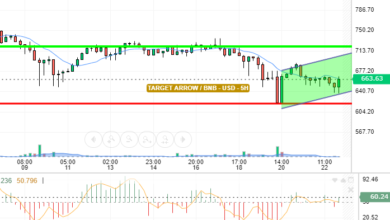 BNB / USD