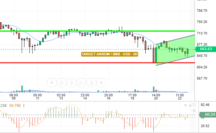 BNB / USD