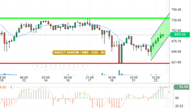 BNB / USD