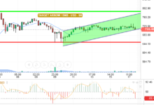 BNB / USD