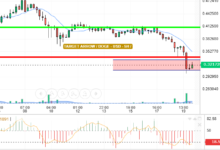 DOGE / USD