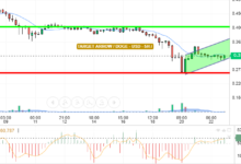 DOGE / USD