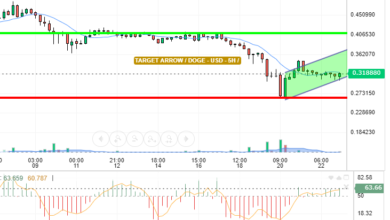 DOGE / USD