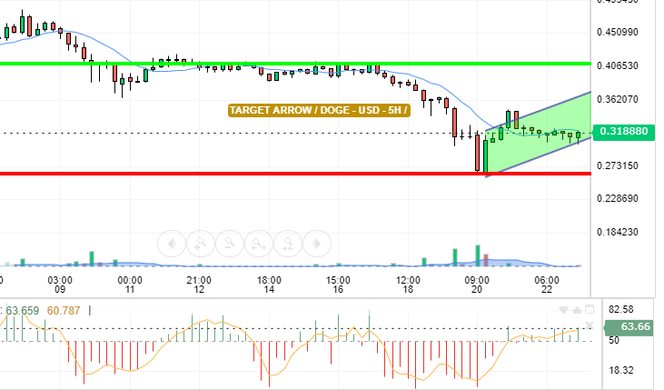 DOGE / USD