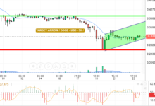 DOGE / USD