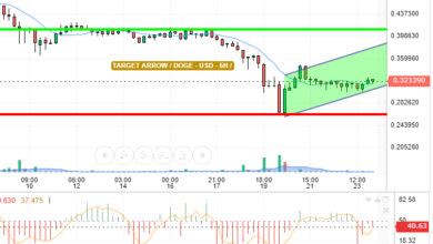 DOGE / USD