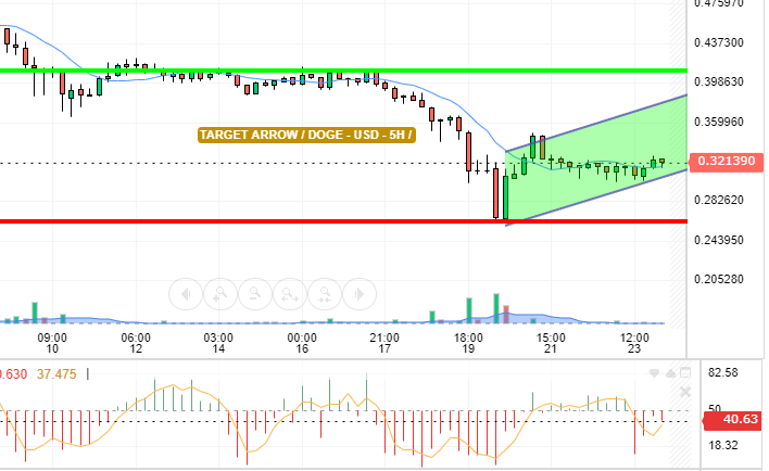 DOGE / USD