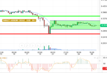 DOGE / USD