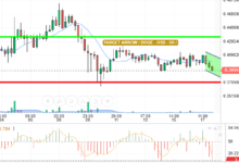 DOGE / USD