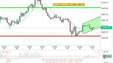 XAU / USD