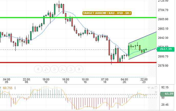 XAU / USD