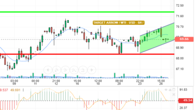 WTI / USD