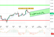 BNB / USD