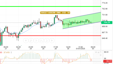 BNB / USD