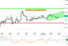 BNB / USD