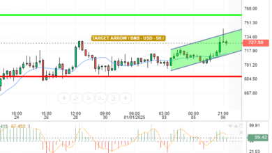 BNB / USD