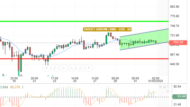 BNB / USD