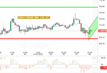 BNB / USD