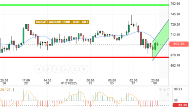 BNB / USD