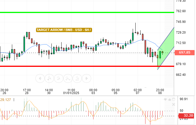 BNB / USD