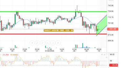 BNB / USD