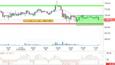 BNB / USD