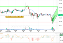 BNB / USD