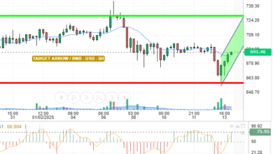 BNB / USD