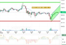 BNB / USD