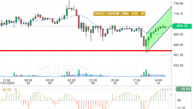 BNB / USD