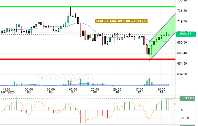 BNB / USD