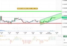 DOGE / USD