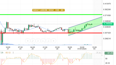 DOGE / USD