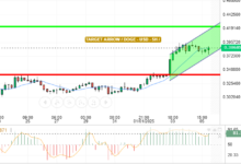 DOGE / USD