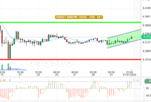 DOGE / USD