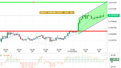 DOGE / USD