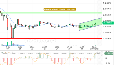 DOGE / USD