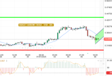 DOGE / USD