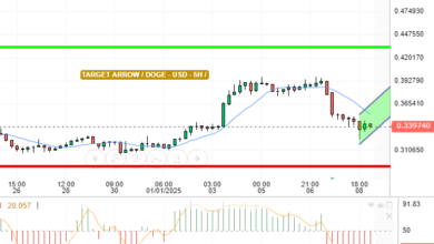 DOGE / USD