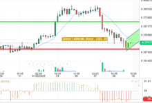 DOGE / USD