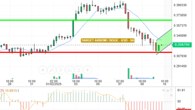 DOGE / USD