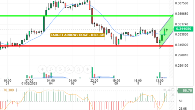 DOGE / USD