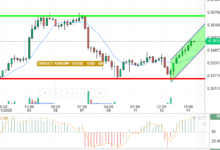 DOGE / USD