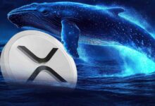 حوت عملاق يراهن بمبلغ 6 ملايين دولار على XRP