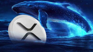 حوت عملاق يراهن بمبلغ 6 ملايين دولار على XRP